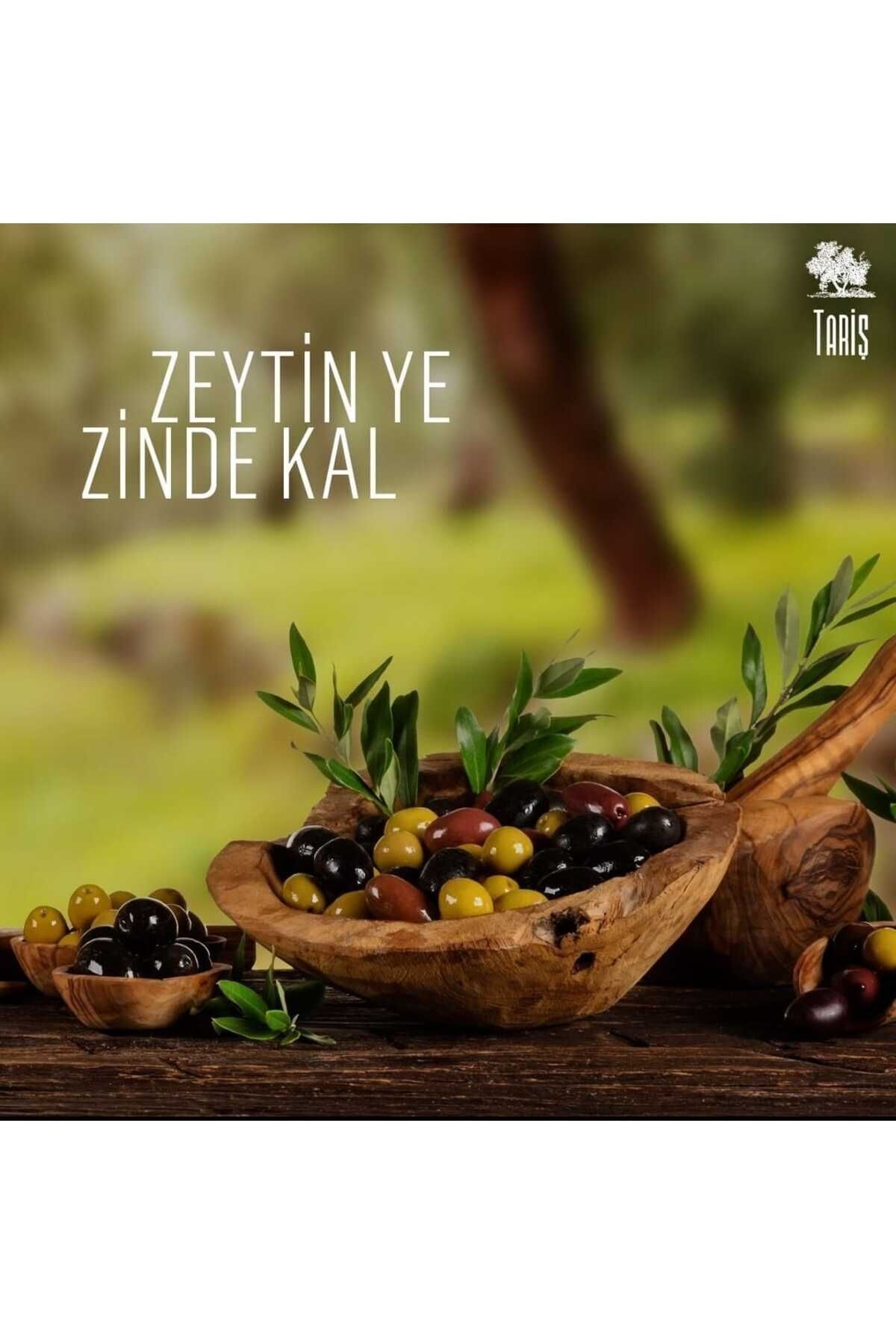 Kuzey Ege Natürel Sızma Zeytinyağı 5000 ml Kuzey Ege Natürel Sızma Zeytinyağı 5000 ml