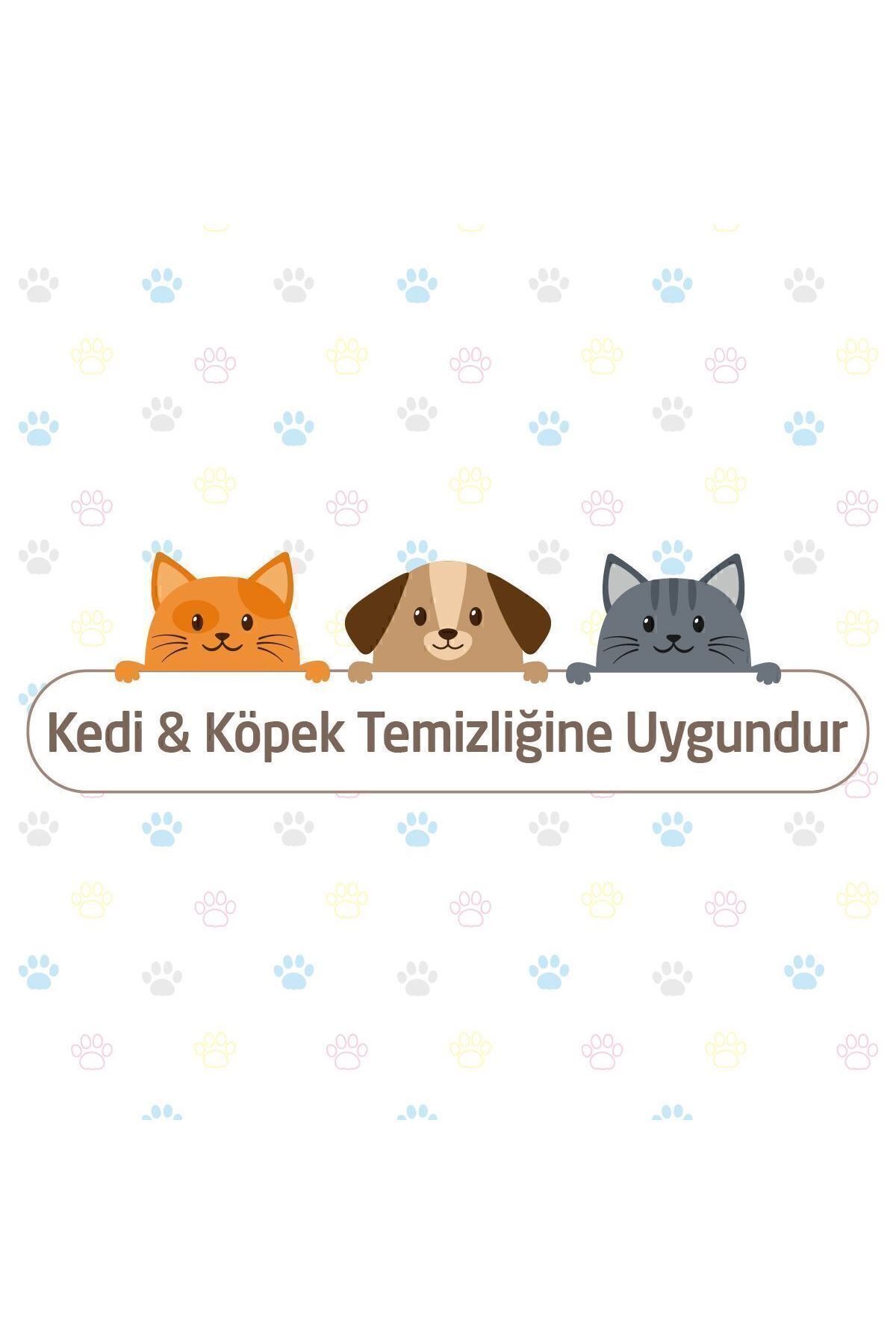 Sleepy Petcare Evcil Hayvan Islak Havlusu 12x60 Yaprak Sleepy Petcare Evcil Hayvan Islak Havlusu 12x60 Yaprak