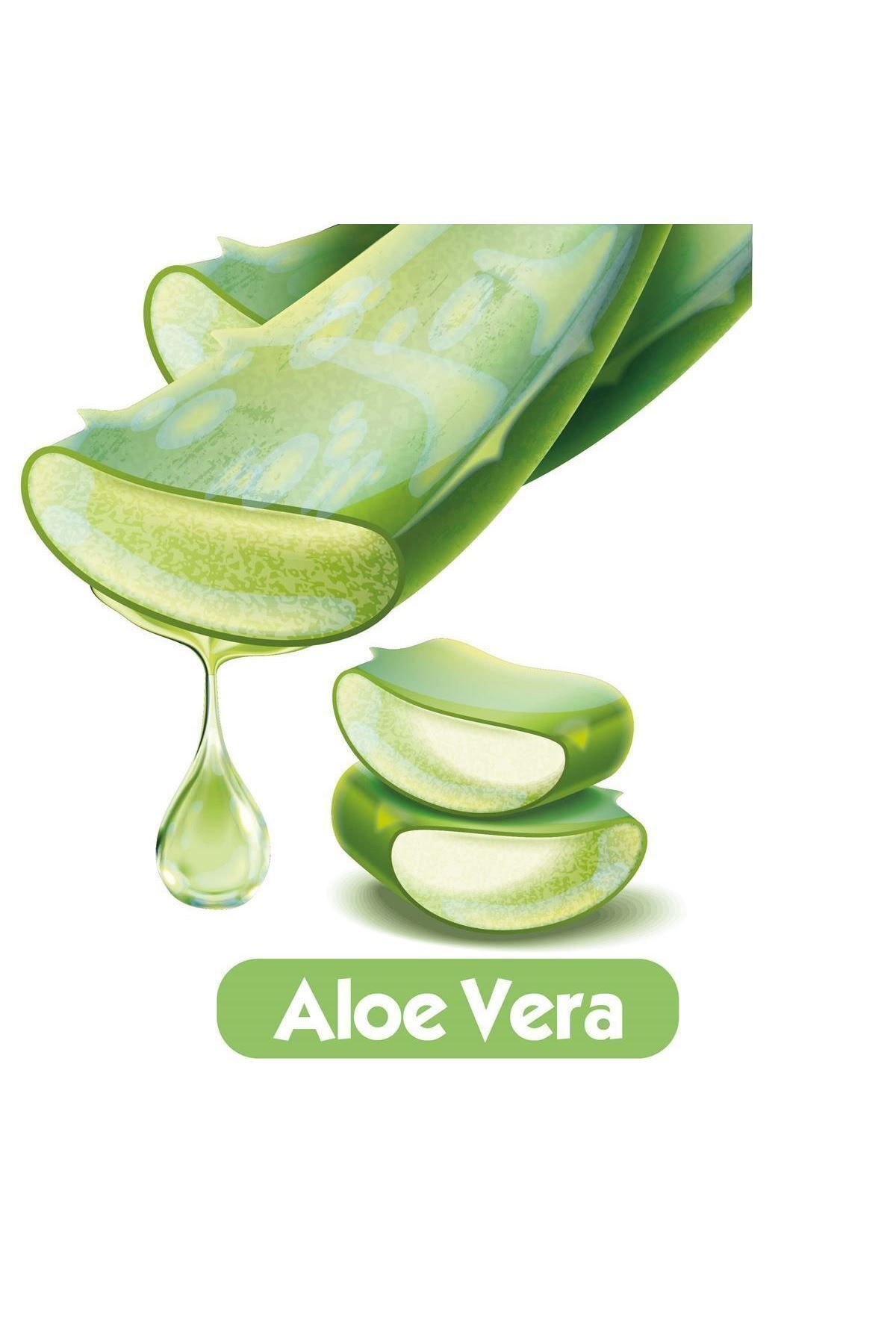 Baby Turco Softcare Aloe Vera Islak Bebek Havlusu 12x90 Yaprak Baby Turco Softcare Aloe Vera Islak Bebek Havlusu 12x90 Yaprak